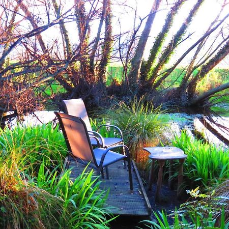 Shady Rest Bed & Breakfast Takaka Exteriér fotografie